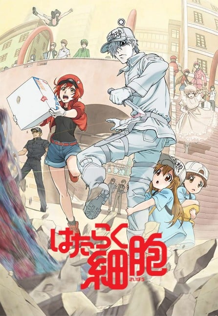 工作细胞